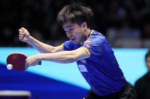 将战日本队！中国台北3-2瑞典晋级世乒赛男团四强，林昀儒独得2分